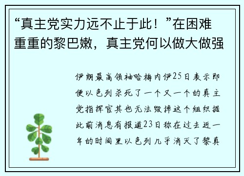 “真主党实力远不止于此！”在困难重重的黎巴嫩，真主党何以做大做强？